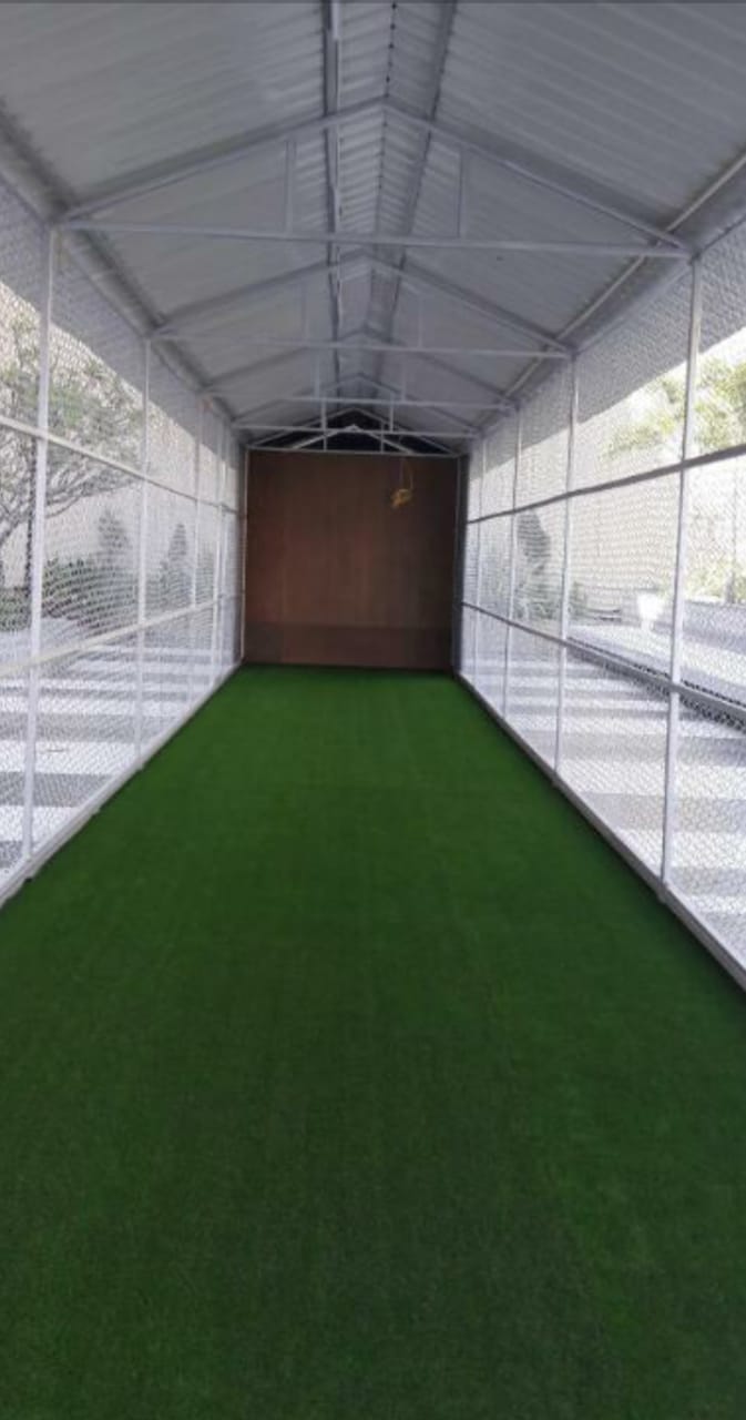 CricAvatar Virtual Cricket Simulator