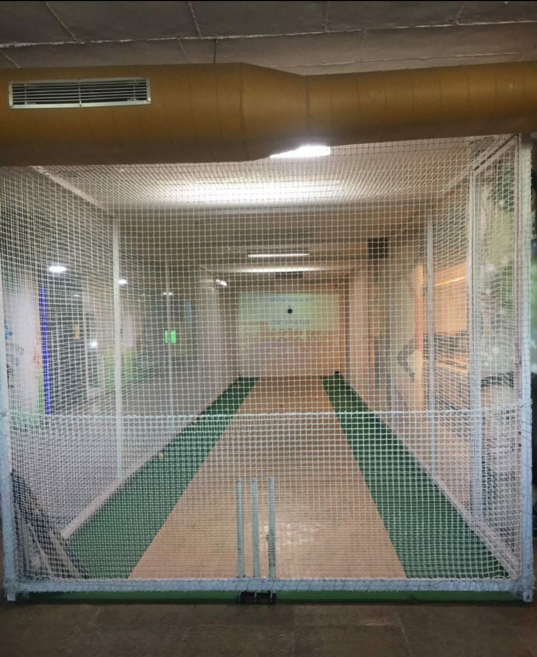 CricAvatar Virtual Cricket Simulator